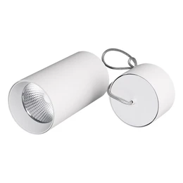 Фото #1 товара Светильник SP-POLO-HANG-R85-15W White5000 (WH-WH, 40 deg) (Arlight, IP20 Металл, 3 года)