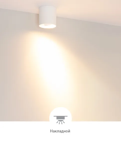 Фото #5 товара ACENTO