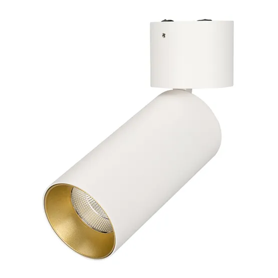 Фото #1 товара Светильник SP-POLO-SURFACE-FLAP-R65-8W White5000 (WH-GD, 40 deg) (Arlight, IP20 Металл, 3 года)