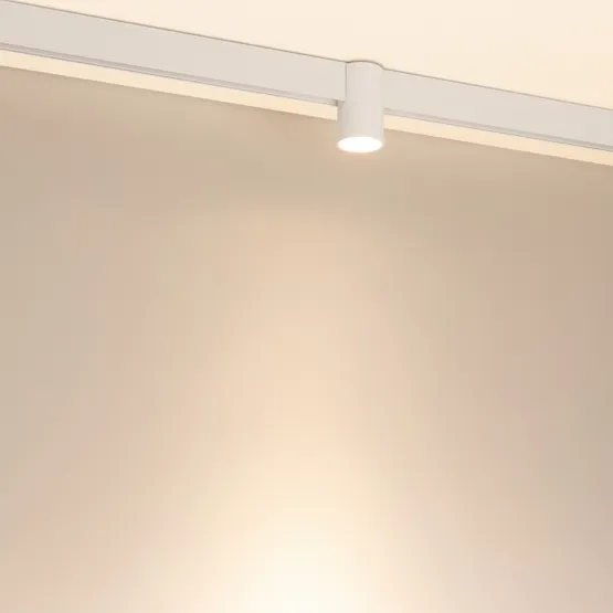 Фото #2 товара Светильник MAG-ORIENT-AXIO-R60-15W Warm3000 (WH, 24 deg, 48V) (Arlight, IP20 Металл, 5 лет)